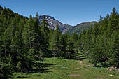 Percorrendo la sponda NW del lago di Devero si può godere di ampio panorama sul panettone del Cobernas (verso SE). 